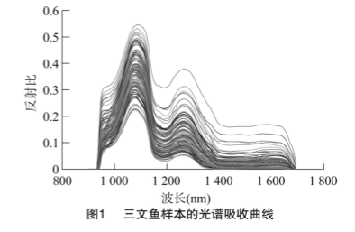 圖片4.png